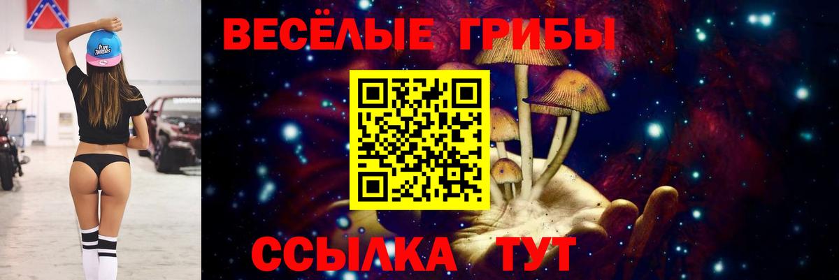 Псилоцибиновые грибы Cubensis Владикавказ