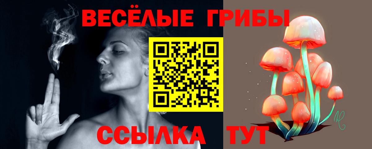 Псилоцибиновые грибы мицелий  Вход с VPN  Владикавказ  Галлюциногенные грибы Psilocybe 